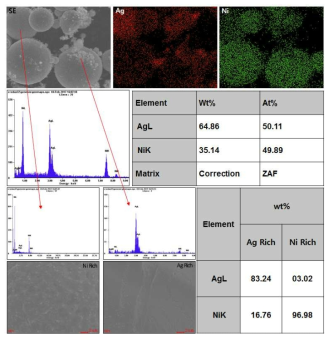 DC 플라즈마에 의해 제조된 Ag-Ni 분말의 EPMA 및 EDS 분석 결과
