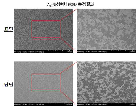 Ag-Ni 성형체의 내부 미세조직 FE-SEM 분석 결과