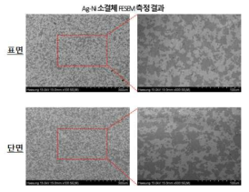 Ag-Ni 소결체의 내부 미세조직 FE-SEM 분석 결과