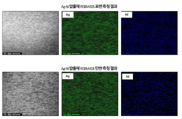 압출재의 FE-SEM 및 EDS 분석 결과