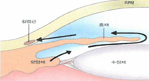 방수의 생성 방출 경로