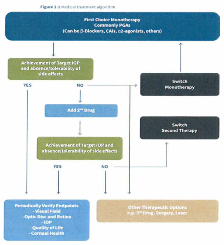 녹내장 치료 알고리즘 (Asian Pacific Glaucoma Guidelines, APGS, 2016)