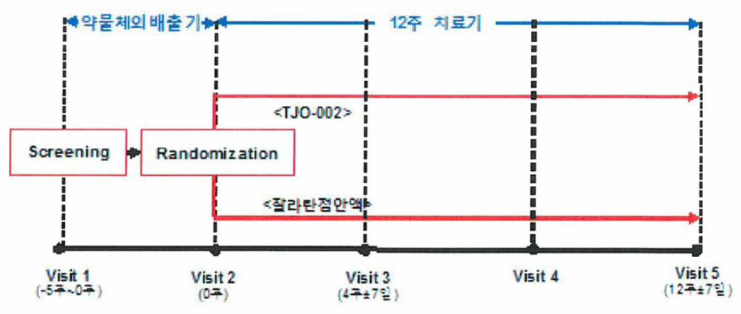 TJO-002 3상 비교임상시험 과정 (TJO-002 vs. 잘라탄 점안액)