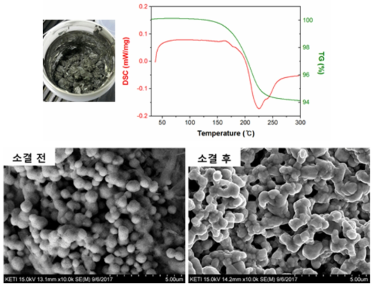 Ag Nano Paste의 Sintering 전후 분말입도 및 형상 SEM 사진 및 DSC 열분석 결과