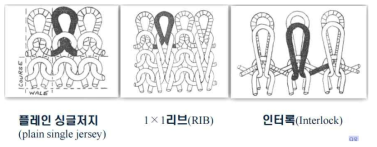 조직별 loop length 길이 예시