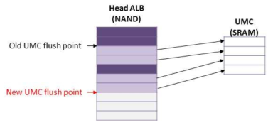 Example of UMC Flush Point