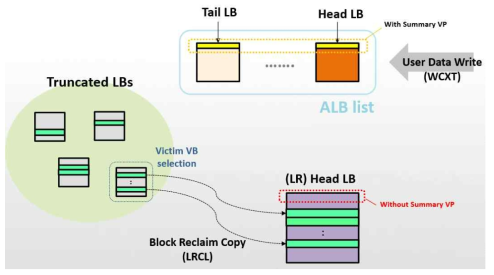 LR Head LB Separation