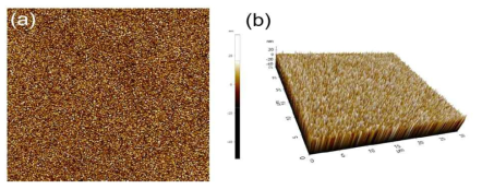 AFM을 통한 RMS roughness 추출 (a) 2D, (b) 3D 이미지