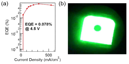 PeLED의 외부 양자효율과 발광 이미지