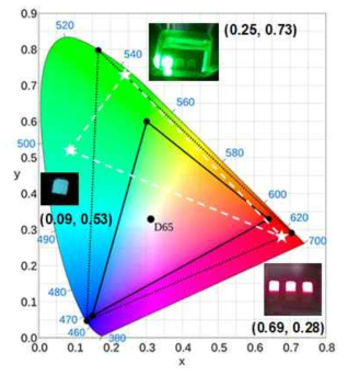페로브스카이트 R, G, B 발광 소자에 대한 색좌표