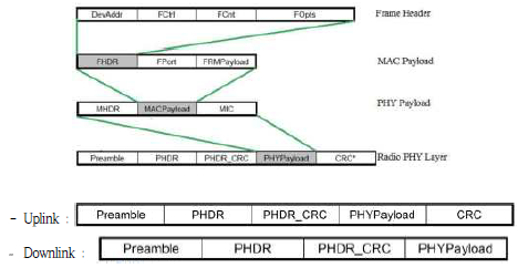 LoRa Message Format