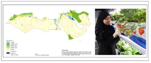 중동지역의 스마트 팜