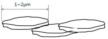 전도성 powder의 밀착도를 높이기 위한 ideal structure의 flake type의 형태