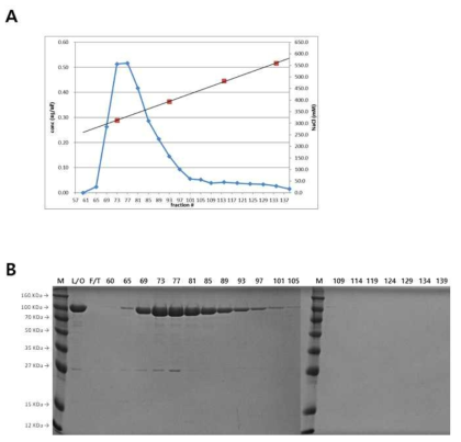 Heparin Sepharose를 이용한 T7 RNA polymerae 의 정제