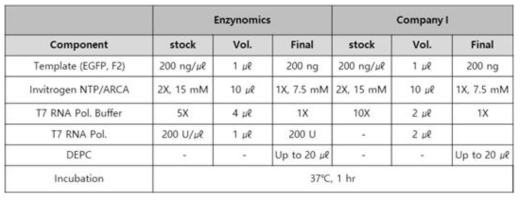 ARCA를 이용한 In vitro mRNA synthesis 반응 조건