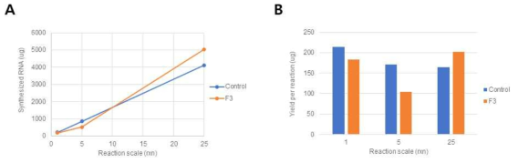생산량 증대 실험 결과 (A) 반응 scale 에 따른 총 생산량 측정 그래프 (B) 반응 scale 당 단위 생산량 측정 그래프