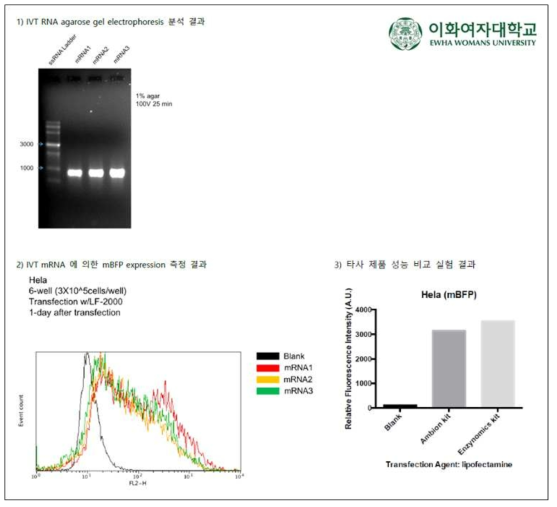 고객사 시제품 테스트 결과 (이화여대)