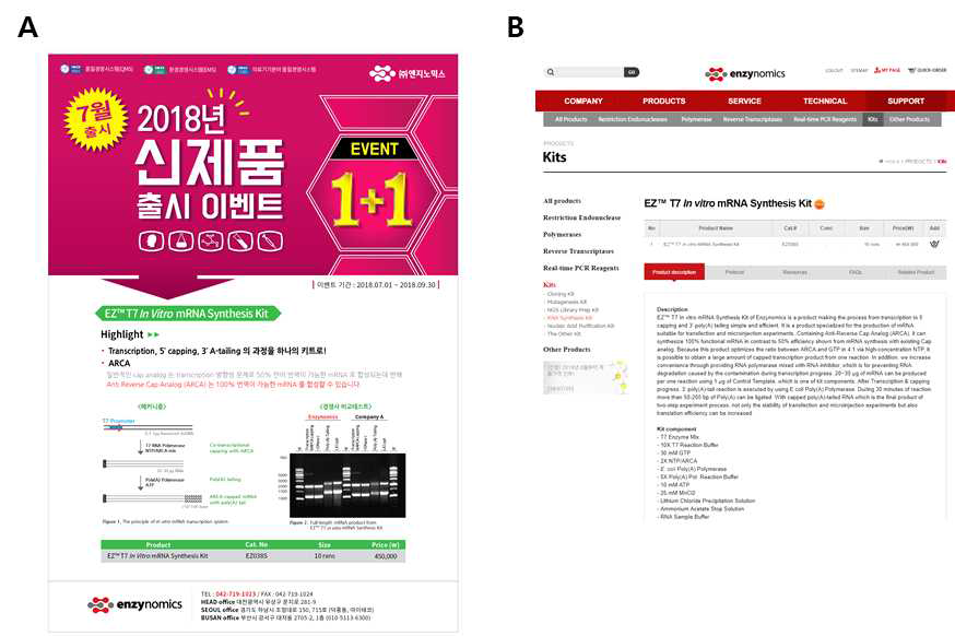 EZTM T7 In vitro mRNA synthesis kit 신제품 출시 (A) 신제품 출시 홍보 브로셔 (B) 온라인 홍보를 위한 홈페이지 등록