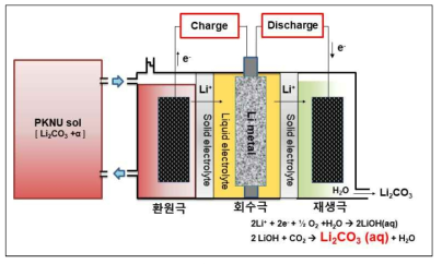 리튬 추출 셀 원리 모식도