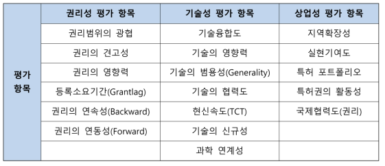 K-PEG 특허평가시스템의 세부 평가항목