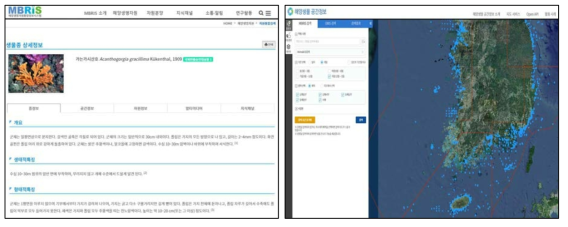 해양생물종 정보 및 해양생물 공간정보