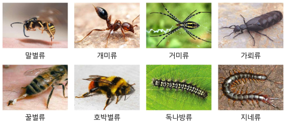 산림 내 독성을 가지고 있는 곤충 및 절지동물