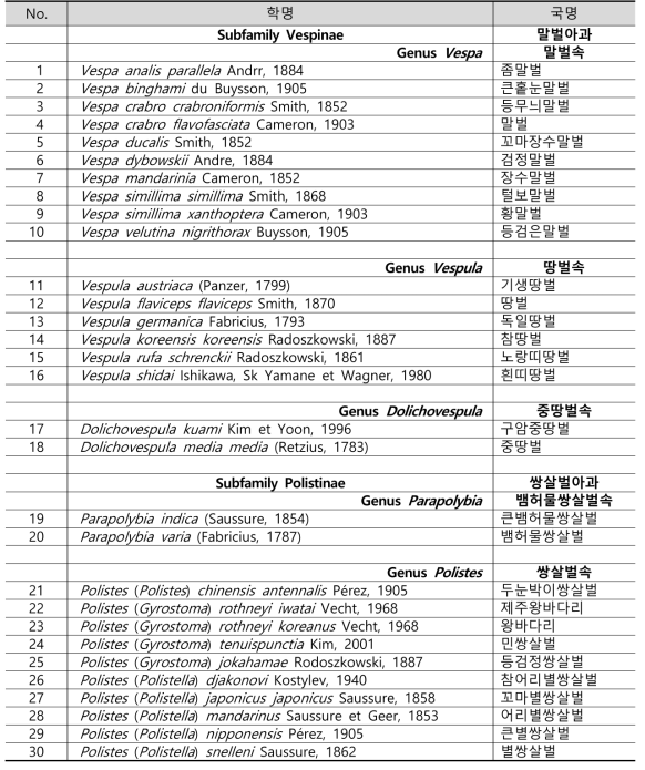 한국산 말벌과의 종 목록