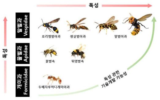 국내 주요 산림 독성생물