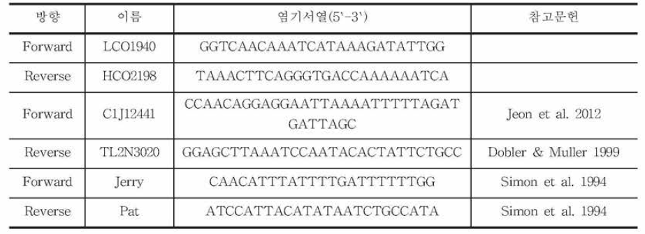 분석 Primer 종류