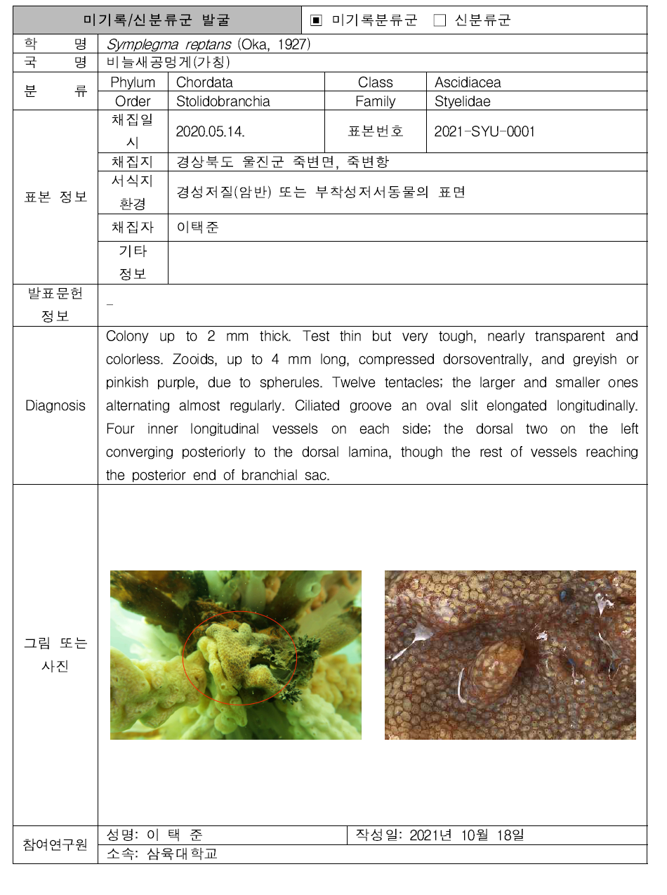 미탐사 서식지(조하대 암반지대)를 통해 발굴된 자생동물 발굴표