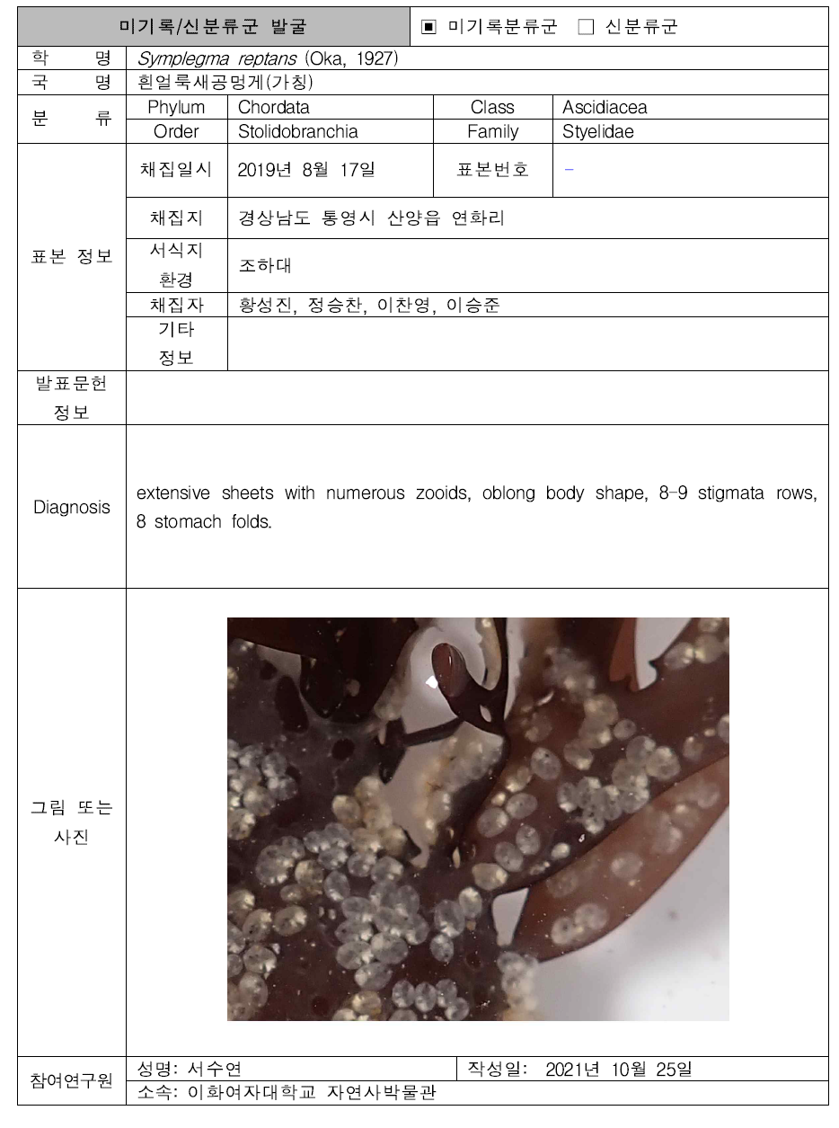 (계속). 미탐사 서식지(조하대 암반지대)를 통해 발굴된 자생동물 발굴표