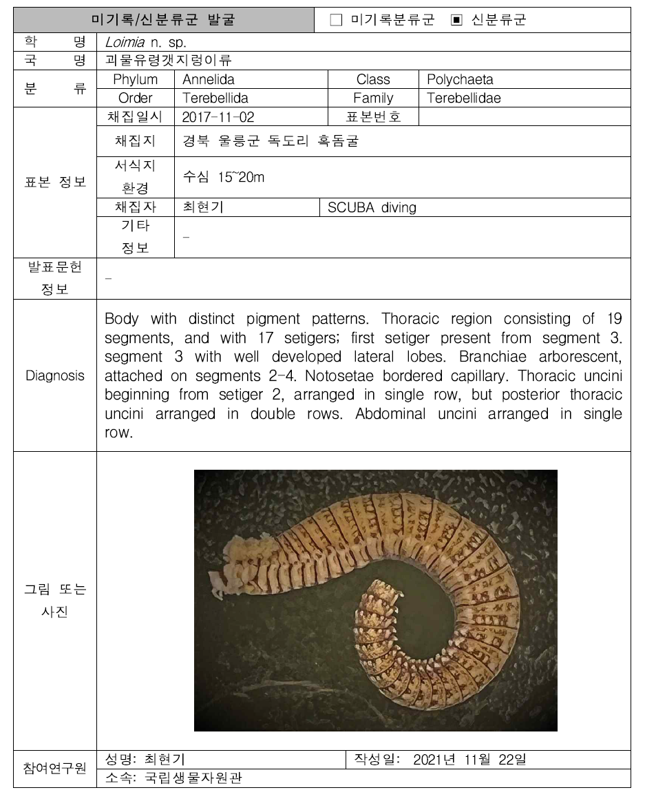 (계속). 미탐사 서식지(조하대 암반지대)를 통해 발굴된 자생동물 발굴표