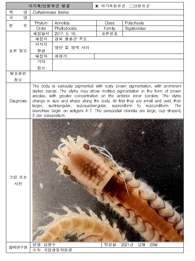 (계속). 미탐사 서식지(조하대 암반지대)를 통해 발굴된 자생동물 발굴표