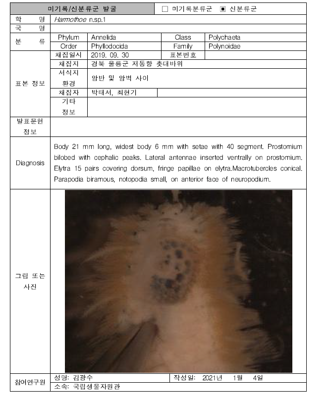 (계속). 미탐사 서식지(조하대 암반지대)를 통해 발굴된 자생동물 발굴표