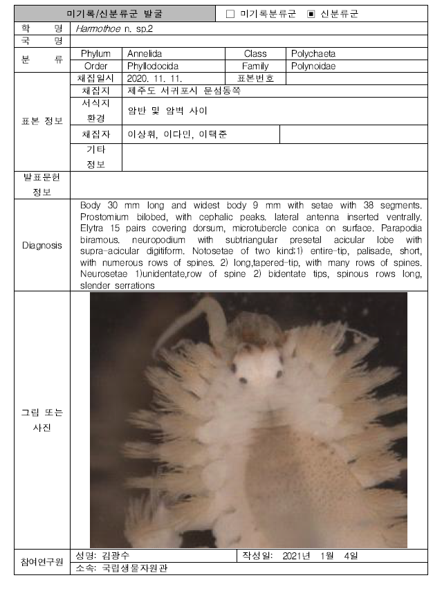 (계속). 미탐사 서식지(조하대 암반지대)를 통해 발굴된 자생동물 발굴표