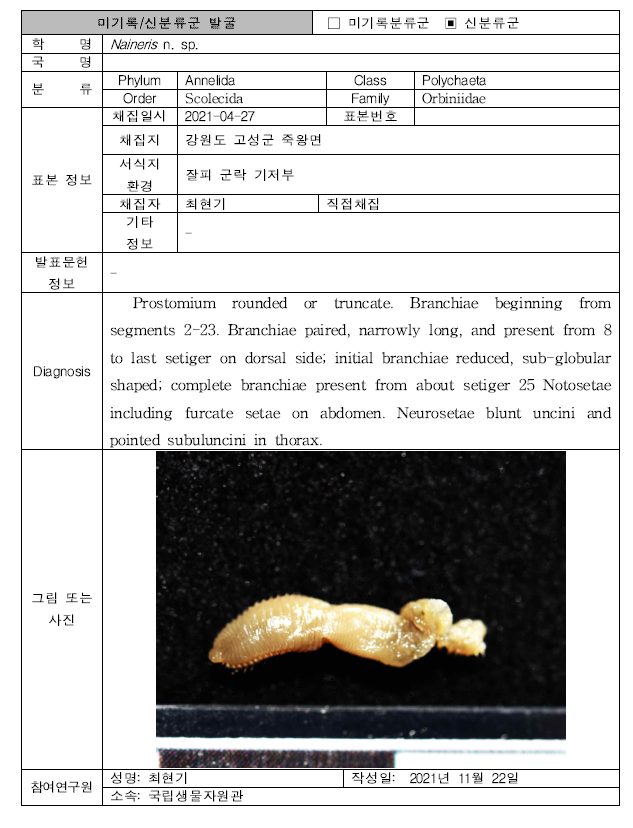 미탐사 서식지(잘치 군락 조사)를 통해 발굴된 자생동물 발굴표