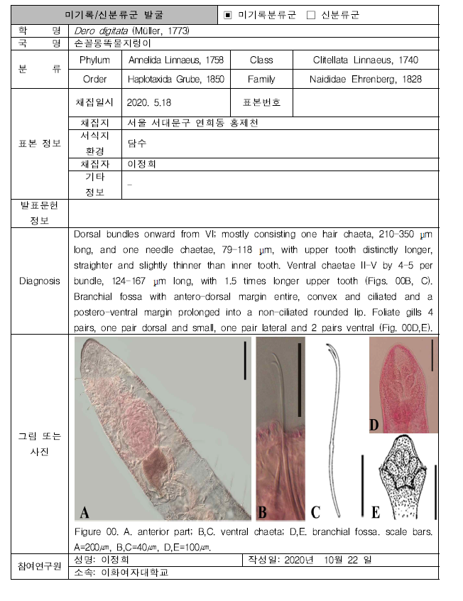 (계속). 미탐사 서식지(기타 서식지)를 통해 발굴된 자생동물 발굴표