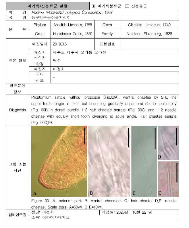 (계속). 미탐사 서식지(기타 서식지)를 통해 발굴된 자생동물 발굴표