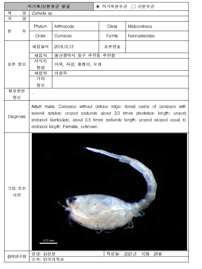 (계속). 미탐사 서식지(기타 서식지)를 통해 발굴된 자생동물 발굴표