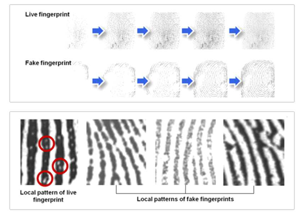 위조 지문 감지 기술에 사용된 동적, 정적 패턴 분석 예시(출처: 슈프리마)