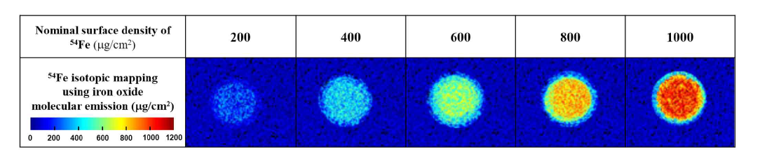 분자방출선 기반 철 동위원소 맵핑