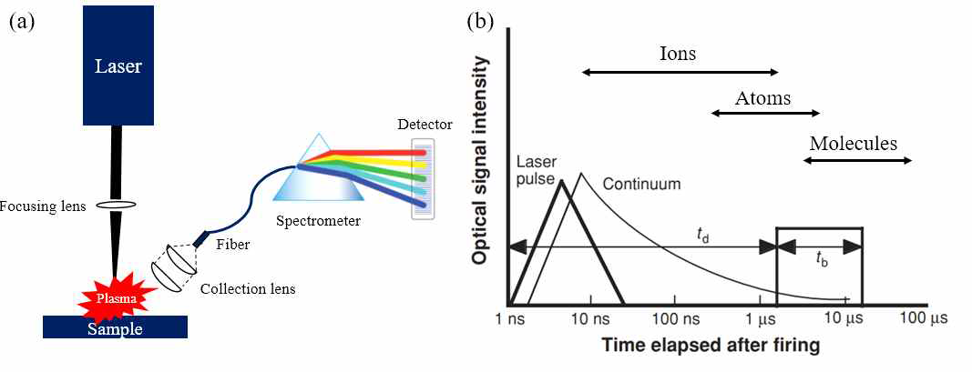 (a) LIBS 시스템 개략도 및 (b) 시간에 따른 레이저 유도 플라즈마 방출 거동