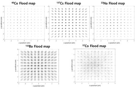 감마선원 종류에 대한 2D Flood map