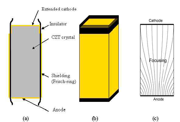차폐 전극과 연장된 음극을 결합한 non-contacting Frisch-grid 장치 (a) 단면도 (b) 3D view (c) 내부 전기장 분포