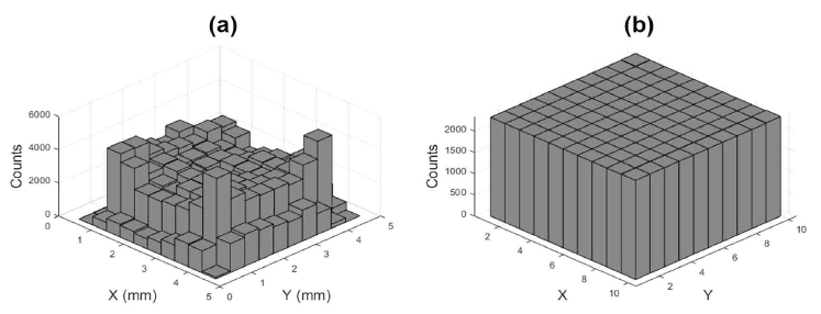 flattening method 적용 (a) 전 (b) 후 복셀화된 2차원 위치 분포