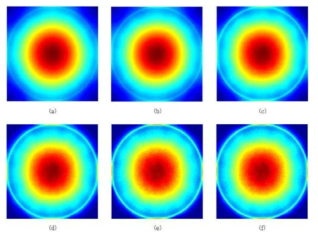 Iteration에 따른 SIRT 재구성 이미지 변화 (a) 5 iterations (b) 10 iterations (c) 25 iterations (d) 50 iterations (e) 100 iterations (f) 250 iterations