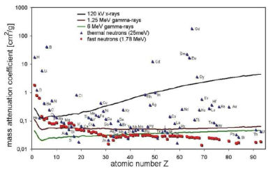 원자번호에 따른 다양한 감마선과 중성자의 Mass attenuation coefficient 비교