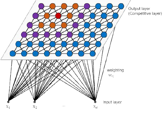 SOM topology