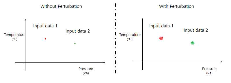 Data perturbation 방법론 개념