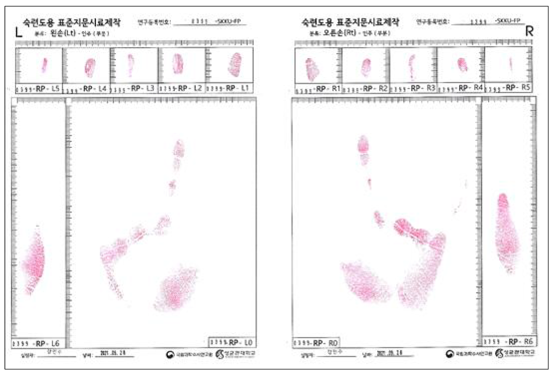 인주를 이용하여 채취한 현재지문(부분)